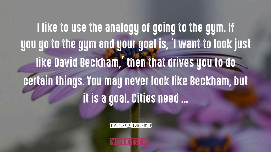 Foreign Cities quotes by Mitchell Joachim