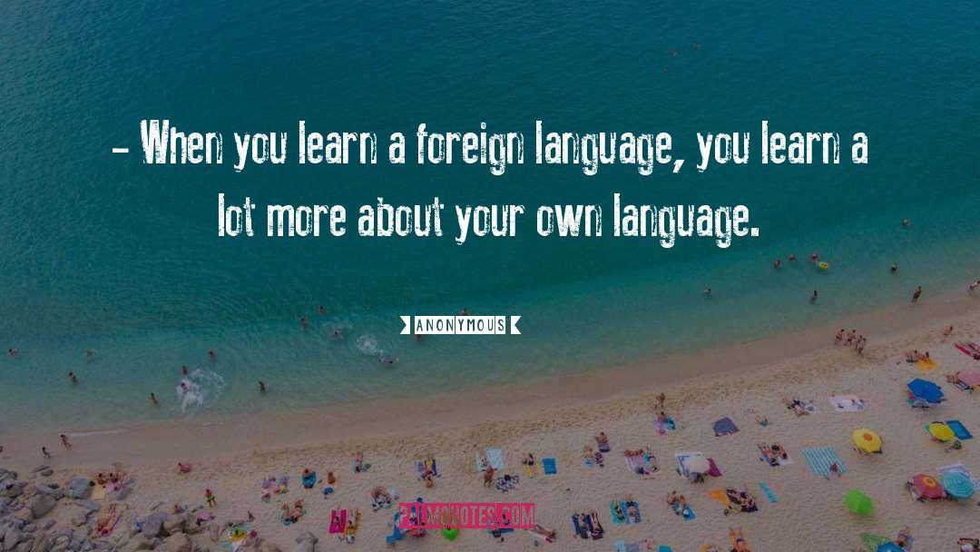 Foreign Countries quotes by Anonymous