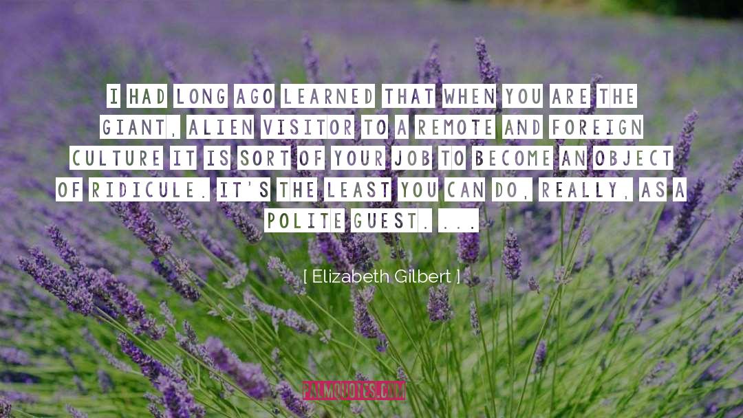 Foreign Culture quotes by Elizabeth Gilbert