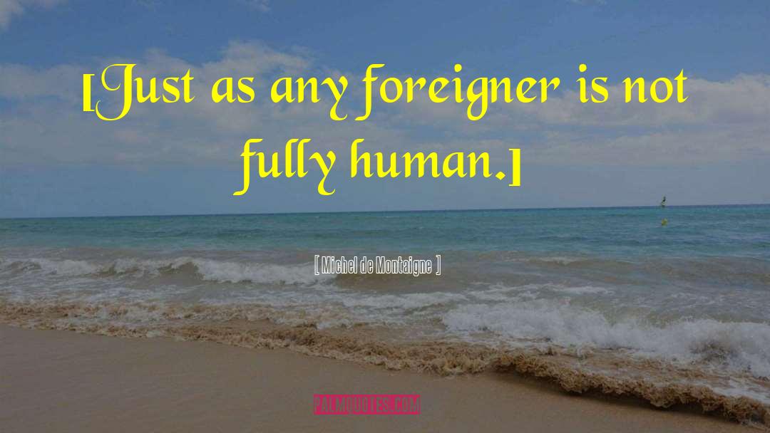 Foreigner quotes by Michel De Montaigne