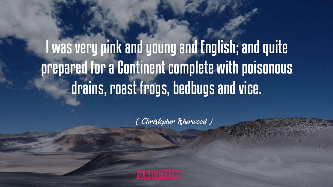 Foreigners In Europe quotes by Christopher Isherwood