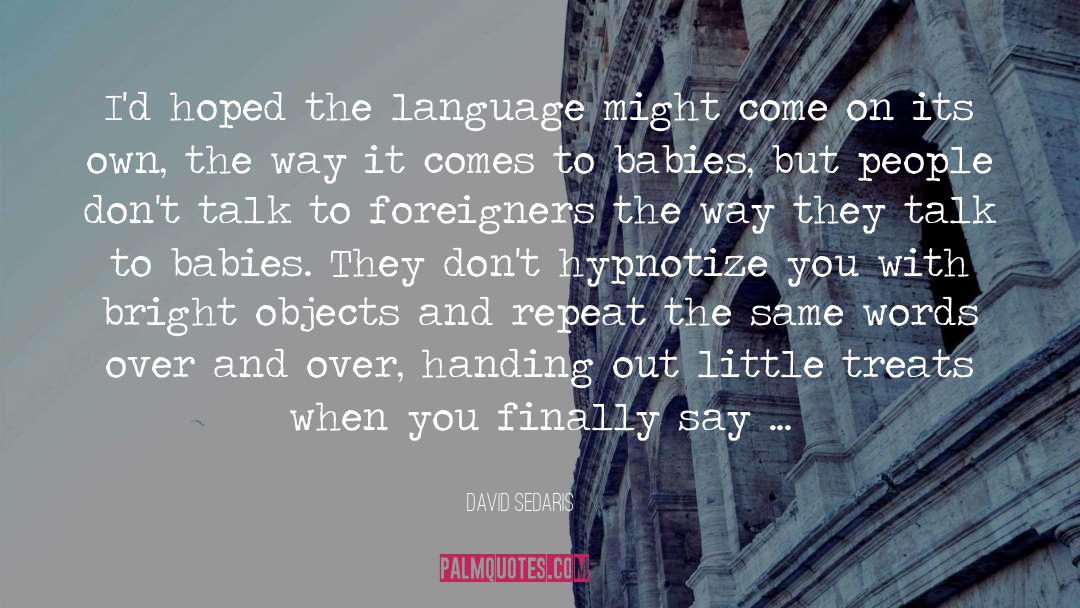 Foreigners quotes by David Sedaris