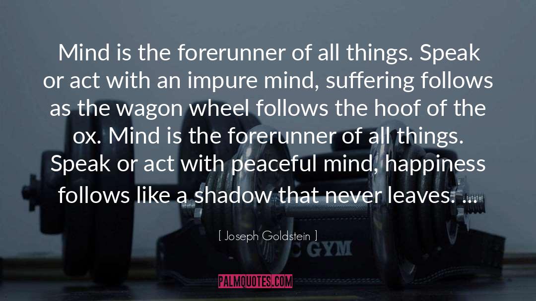 Forerunner quotes by Joseph Goldstein