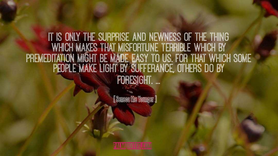 Foresight Insight quotes by Seneca The Younger