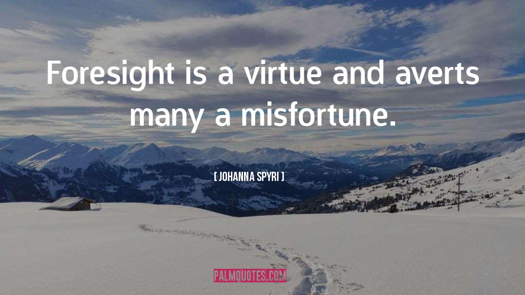 Foresight quotes by Johanna Spyri