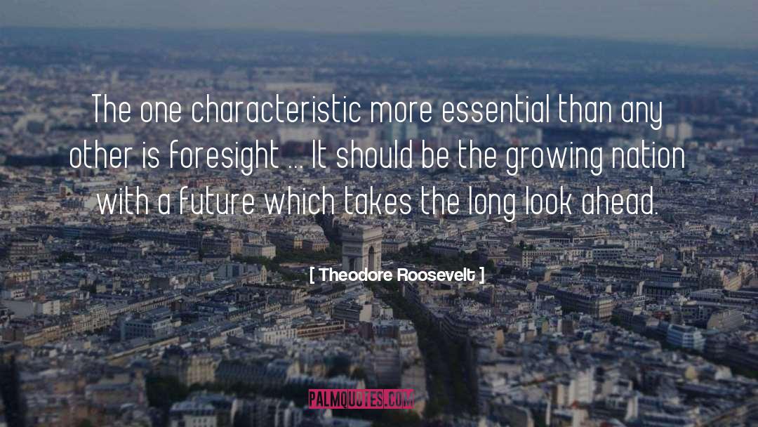 Foresight quotes by Theodore Roosevelt