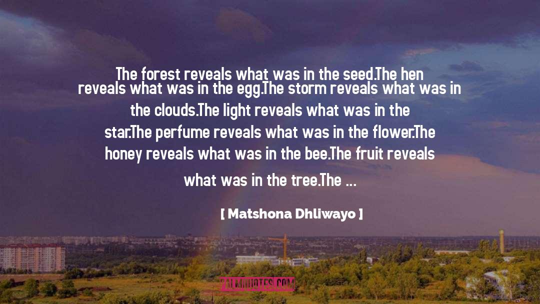 Forest Fire Watcher Romance quotes by Matshona Dhliwayo