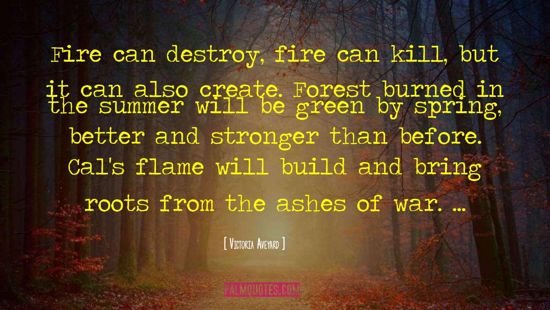 Forest Fire Watcher Romance quotes by Victoria Aveyard