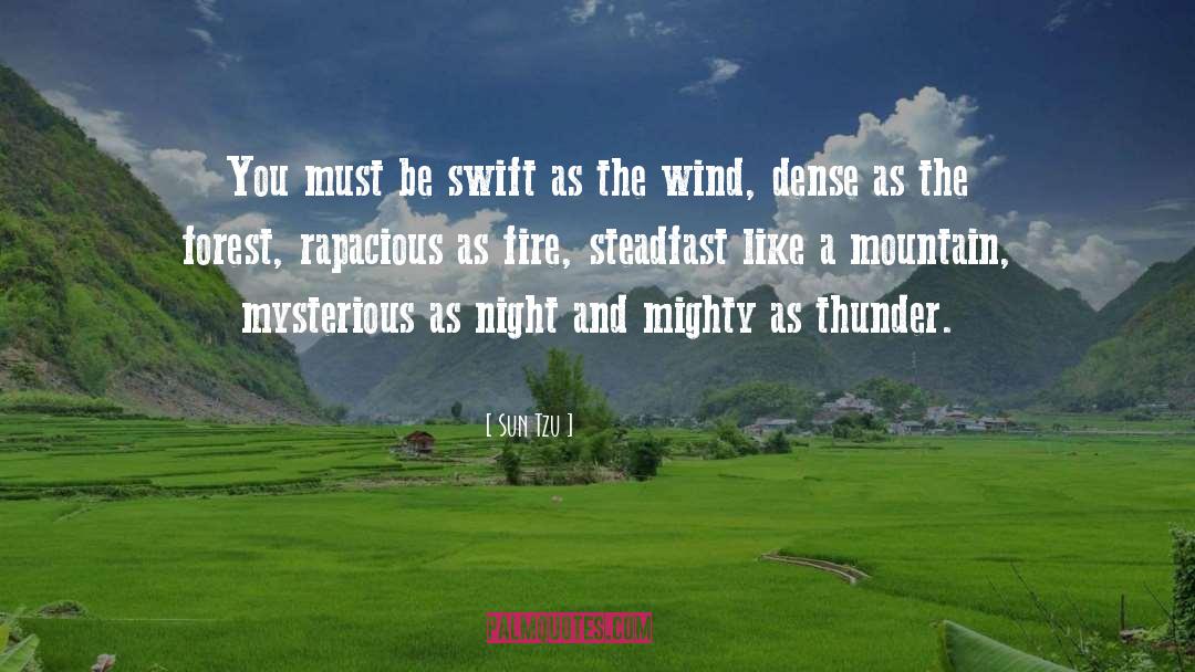 Forest Fire Watcher Romance quotes by Sun Tzu