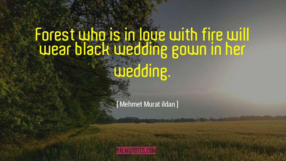 Forest Fire Watcher Romance quotes by Mehmet Murat Ildan