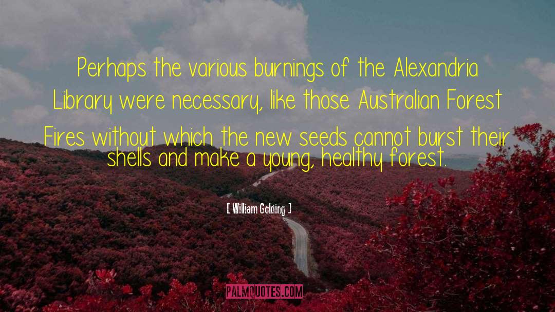 Forest Fires quotes by William Golding