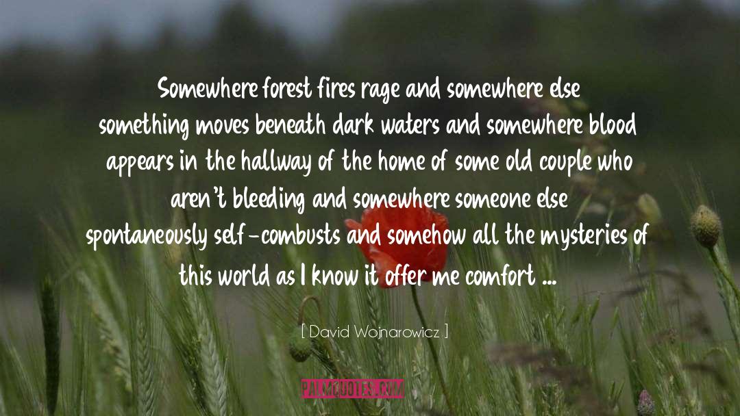 Forest Fires quotes by David Wojnarowicz