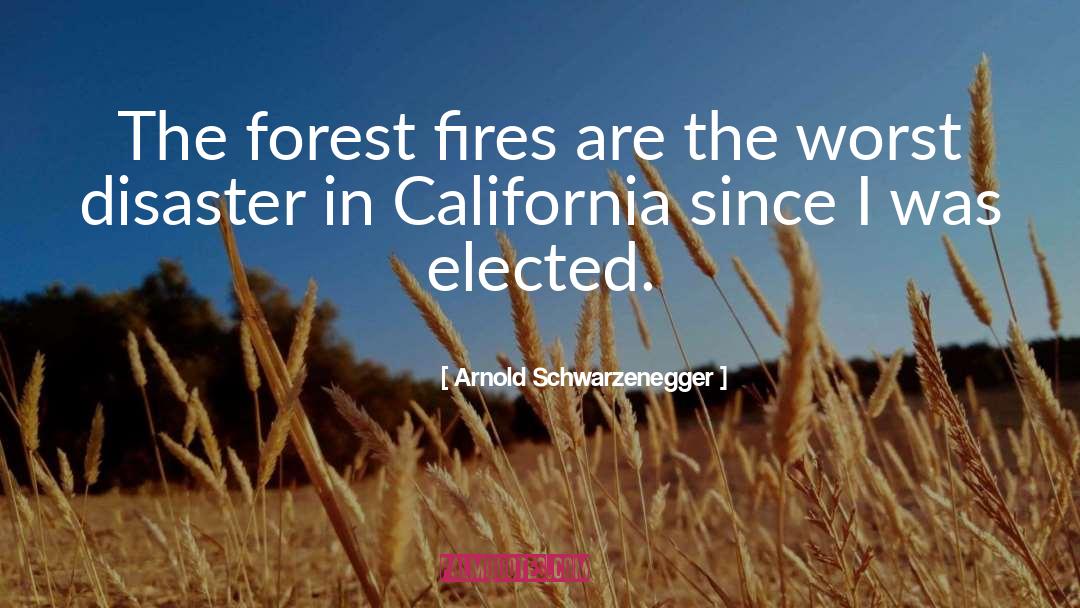 Forest Fires quotes by Arnold Schwarzenegger