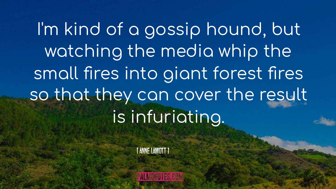 Forest Fires quotes by Anne Lamott