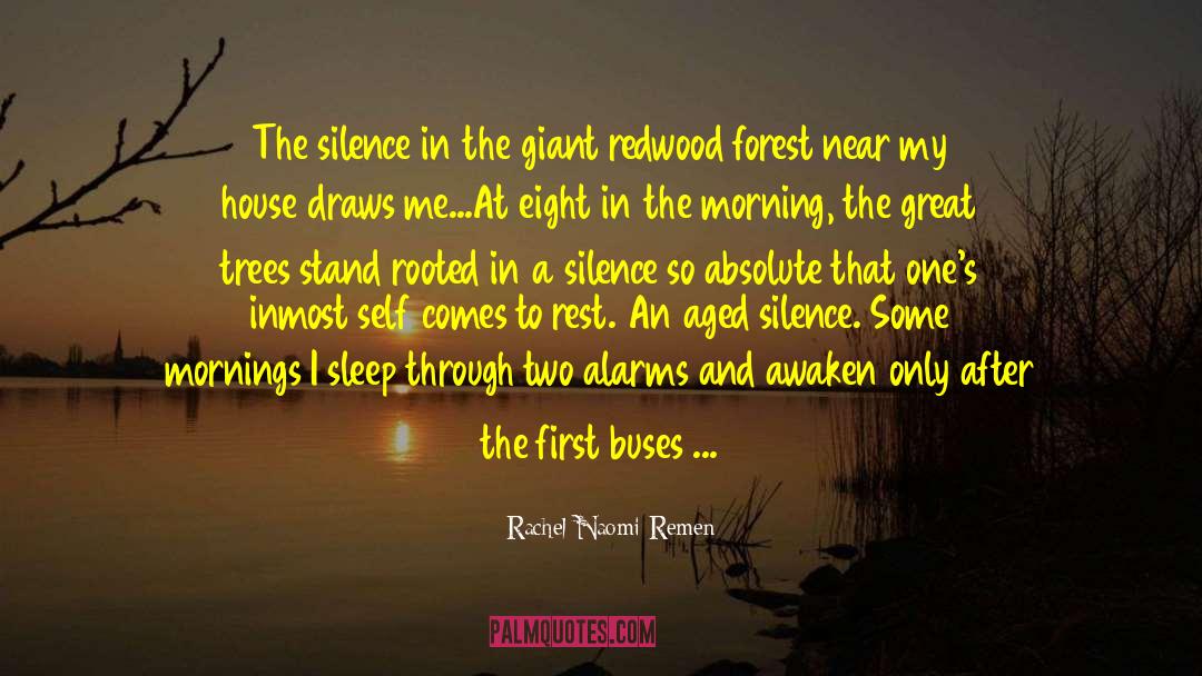 Forest Of Bones quotes by Rachel Naomi Remen