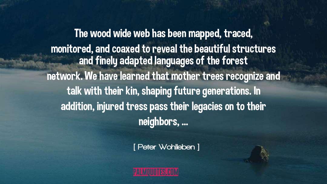 Forest quotes by Peter Wohlleben