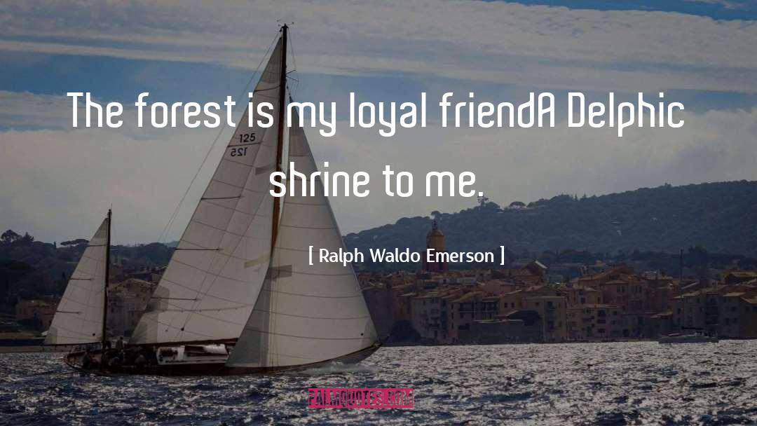 Forest quotes by Ralph Waldo Emerson