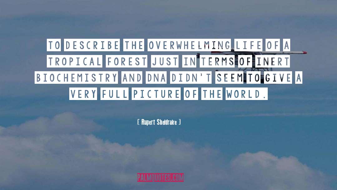Forest quotes by Rupert Sheldrake