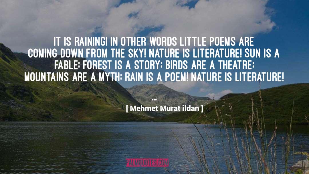 Forest quotes by Mehmet Murat Ildan
