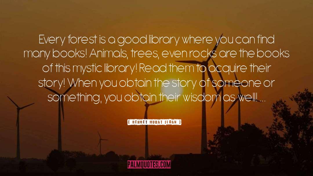 Forest quotes by Mehmet Murat Ildan