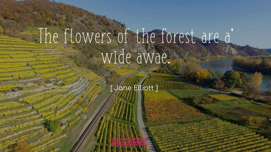 Forest quotes by Jane Elliott