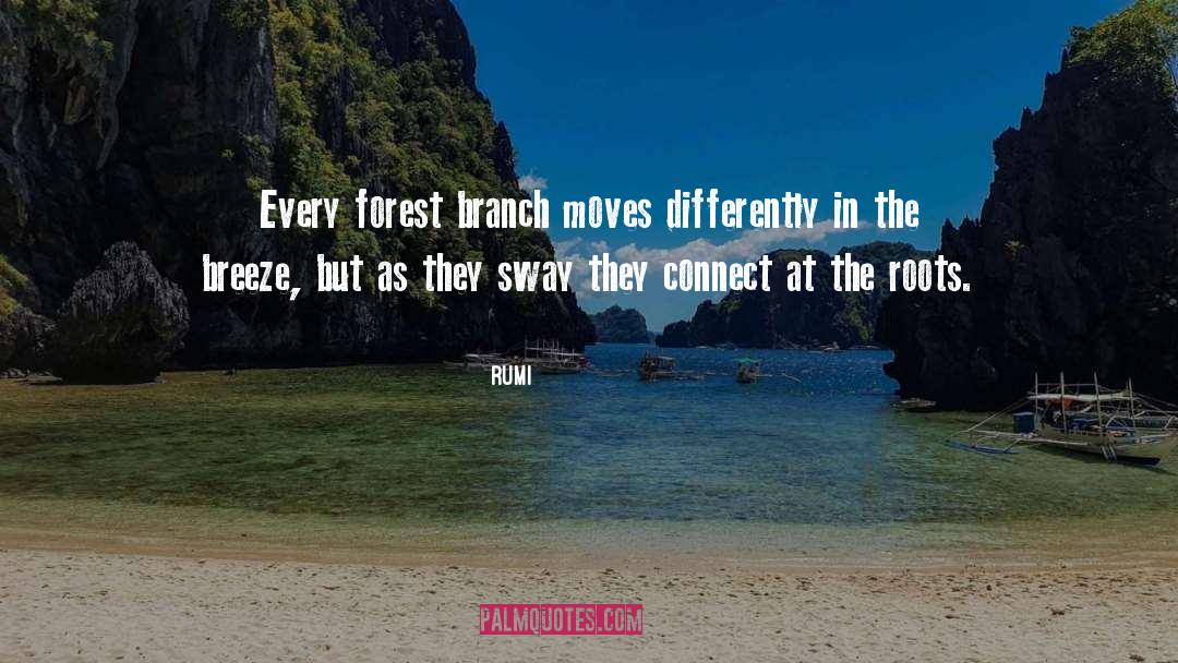 Forest Reserve quotes by Rumi