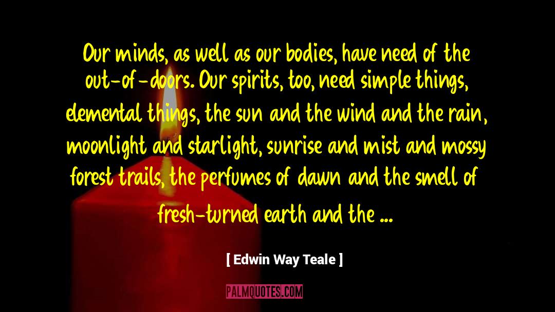 Forest Trees quotes by Edwin Way Teale