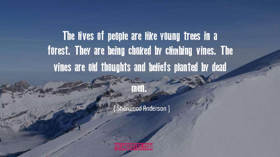 Forest Trees quotes by Sherwood Anderson