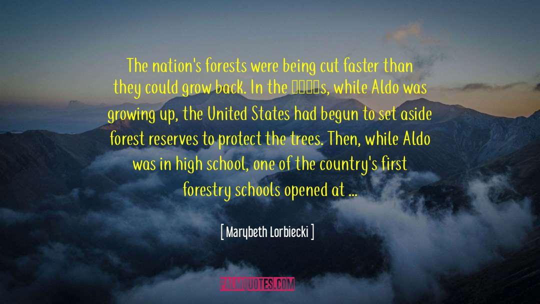 Forestry Love quotes by Marybeth Lorbiecki