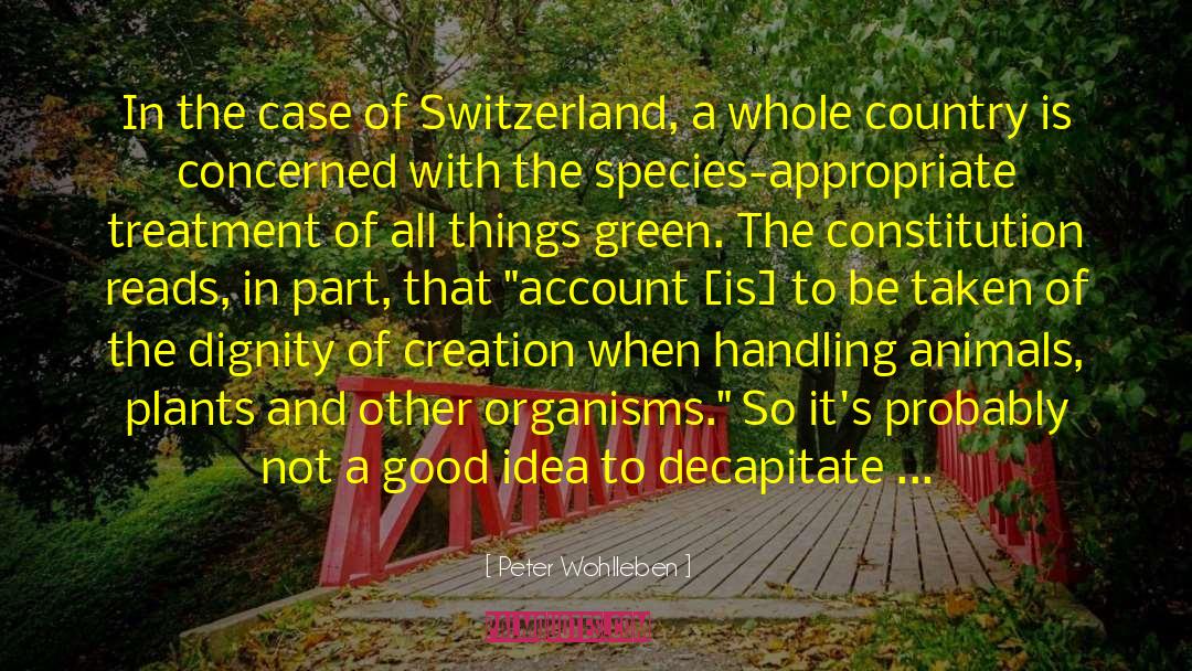 Forestry quotes by Peter Wohlleben