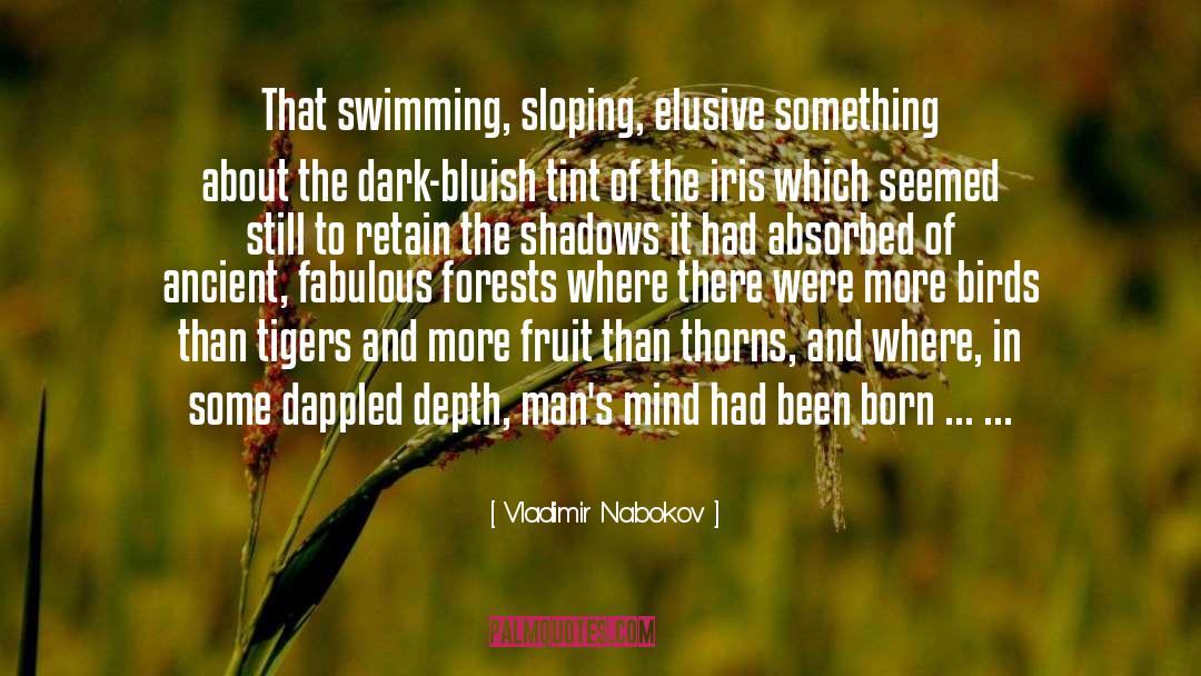 Forests quotes by Vladimir Nabokov