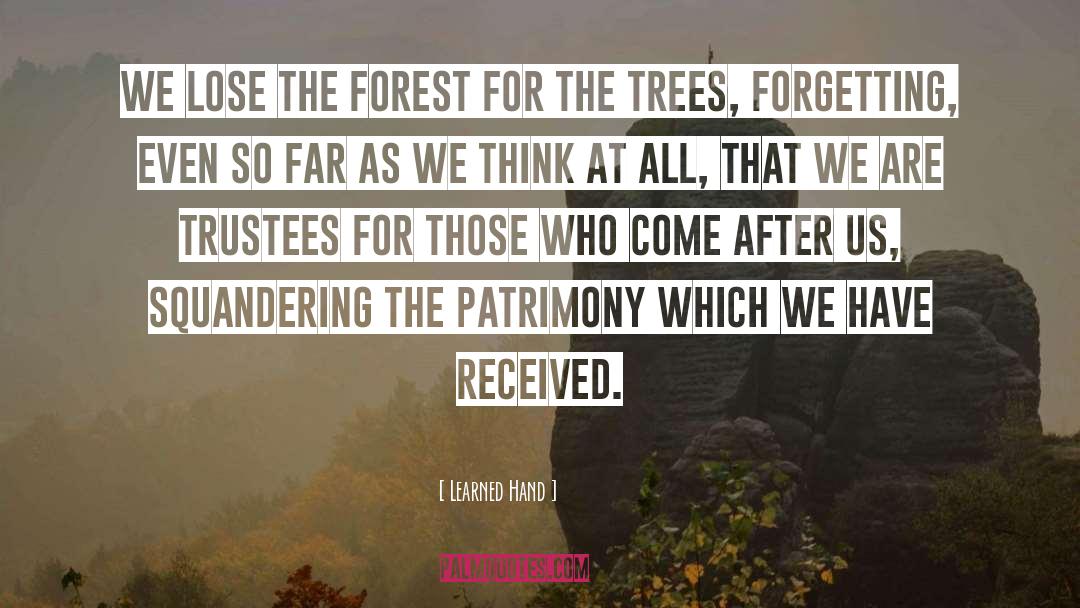Forests quotes by Learned Hand