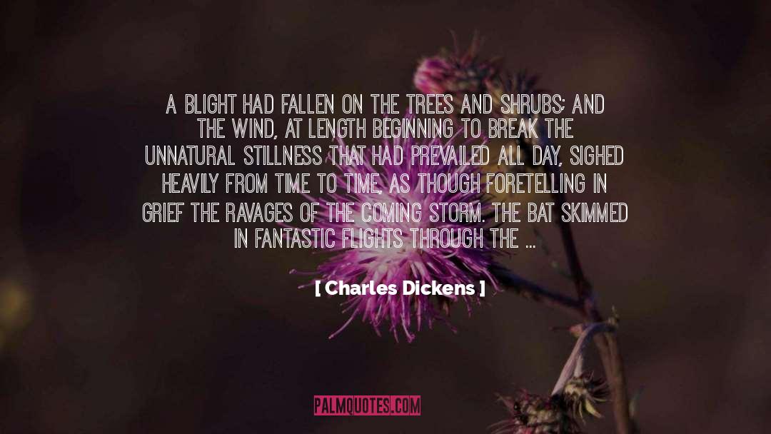 Foretelling quotes by Charles Dickens