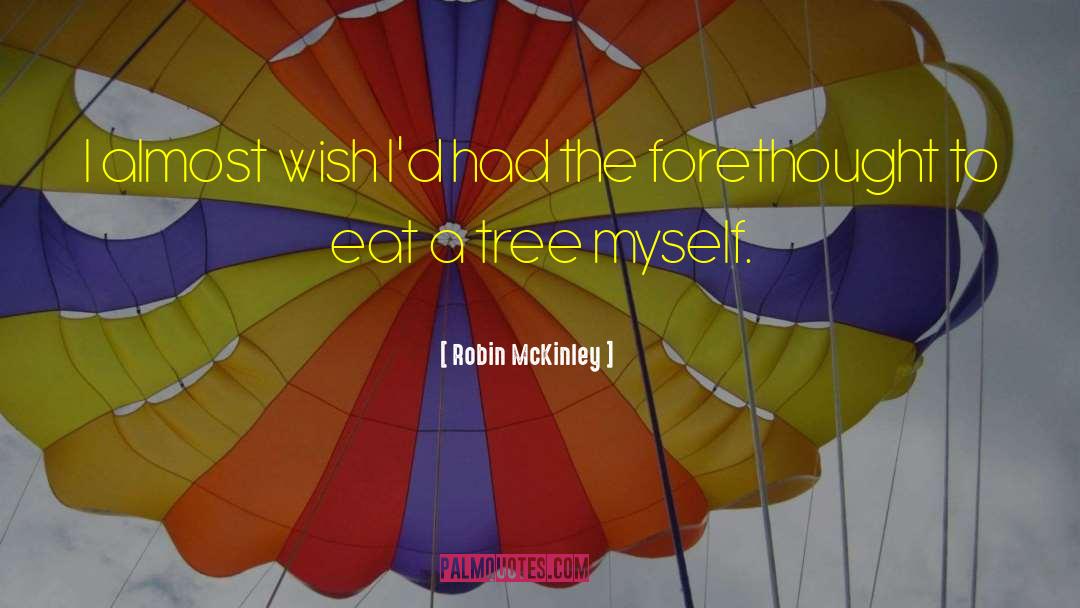 Forethought quotes by Robin McKinley