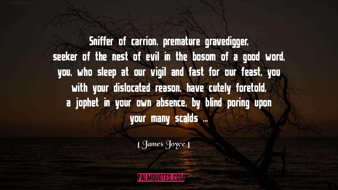 Foretold quotes by James Joyce