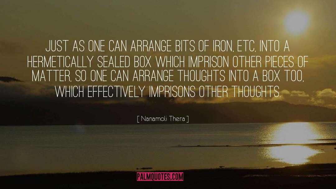 Forged Iron quotes by Nanamoli Thera