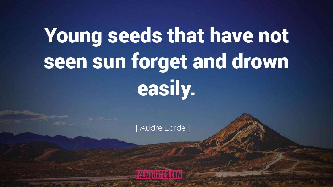 Forget Economizing quotes by Audre Lorde