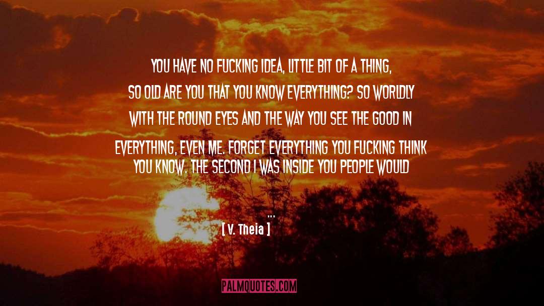 Forget Everything quotes by V. Theia