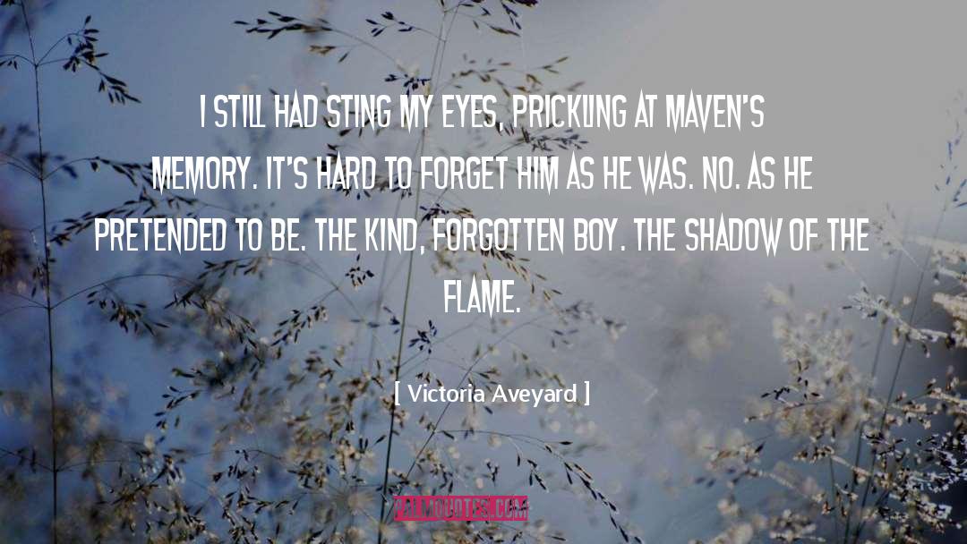 Forget Him quotes by Victoria Aveyard