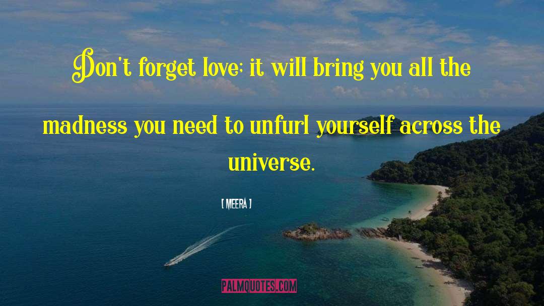 Forget Love quotes by Meera