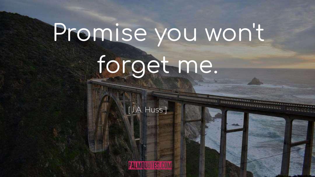 Forget Me quotes by J.A. Huss