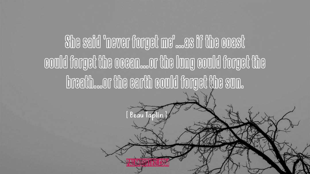 Forget Me quotes by Beau Taplin