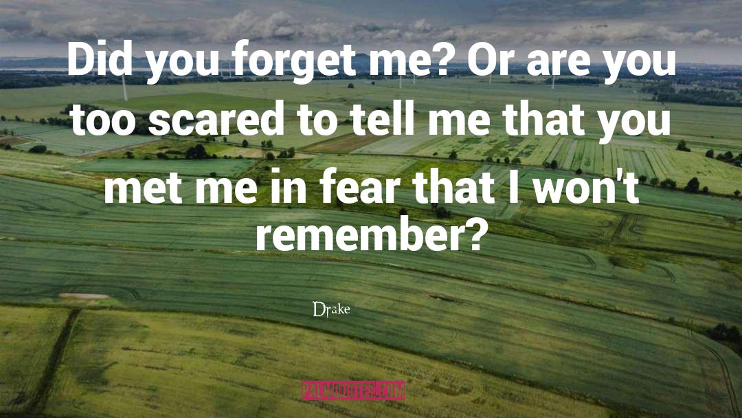 Forget Me quotes by Drake