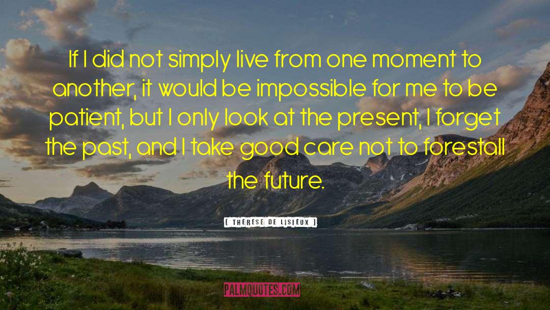 Forget The Past And Look Forward quotes by Therese De Lisieux