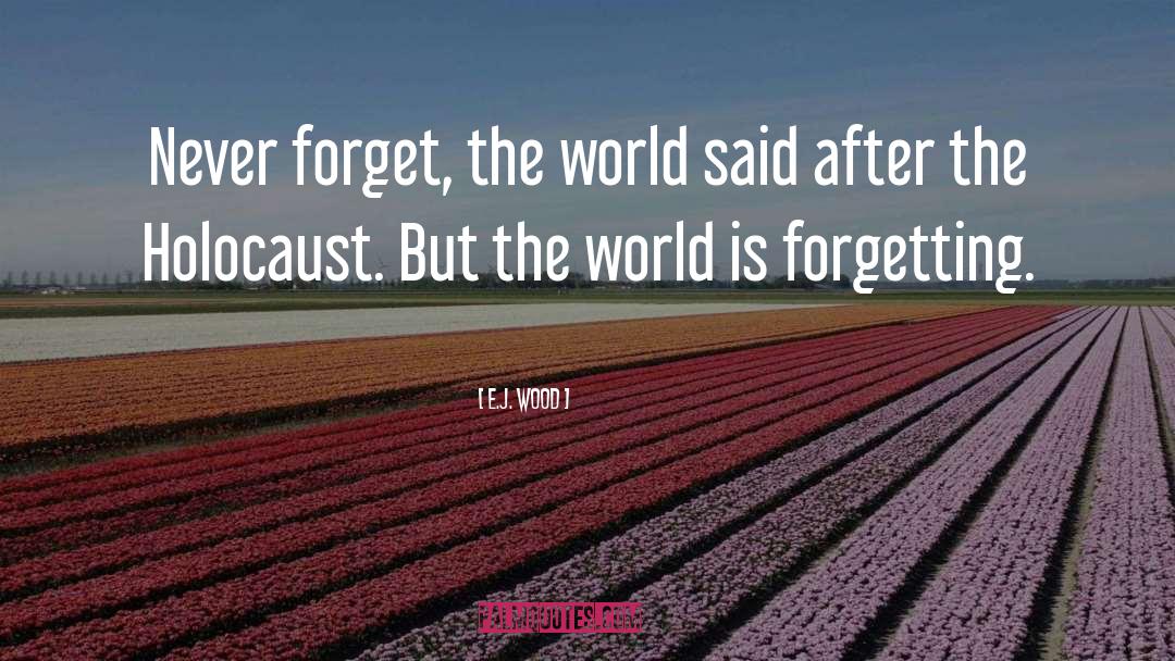 Forget The World quotes by E.J. Wood