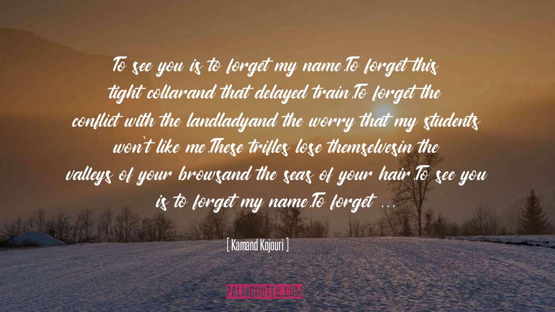 Forget The World quotes by Kamand Kojouri