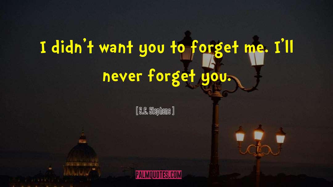 Forget You quotes by S.C. Stephens