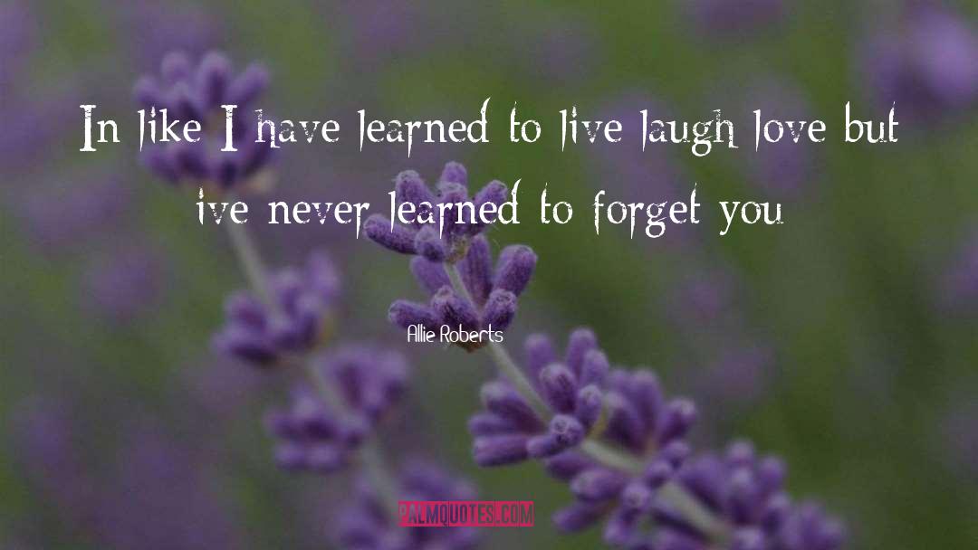 Forget You quotes by Allie Roberts