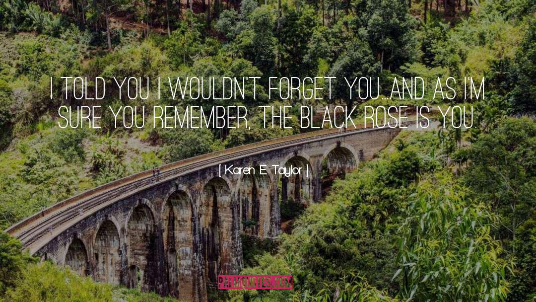 Forget You quotes by Karen E. Taylor