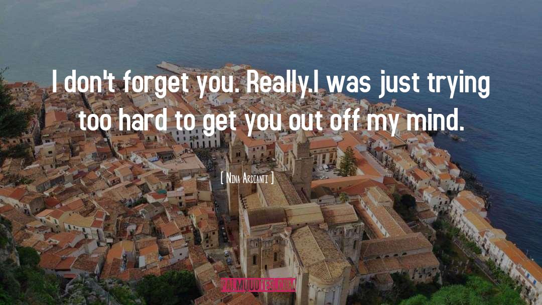 Forget You quotes by Nina Ardianti